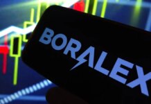 Brookfield, La Caisse close $6.5bn Boralex acquisition Brookfield, La Caisse close $6.5bn Boralex acquisition