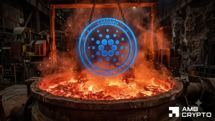 Cardano's 44% YTD loss meets accumulation signals: Is $0.28 ADA's next target?