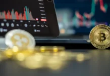 Centralized vs. decentralized exchanges: What’s the difference? Centralized vs. decentralized exchanges: What's the difference?