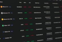 Crypto investors are looking past market-cap rankings and back to fundamentals Crypto investors are looking past market-cap rankings and back to fundamentals