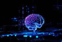 How to Track Your Brand’s AI Visiblity in 2026 How to Track Your Brand’s AI Visiblity in 2026