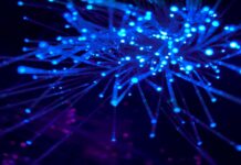 Legacy crypto on-ramps and bridges will disappear as payments become invisible, Fun CEO says Legacy crypto on-ramps and bridges will disappear as payments become invisible, Fun CEO says