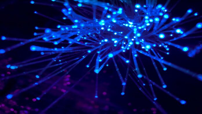 Legacy-crypto-on-ramps-and-bridges-will-disappear-as-payments-become.jpg Legacy crypto on-ramps and bridges will disappear as payments become invisible, Fun CEO says
