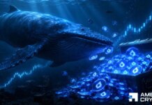 Lighter rises 9% as whale buys $9.1M LIT – Is $2.70 next? Lighter rises 9% as whale buys $9.1M LIT – Is $2.70 next?