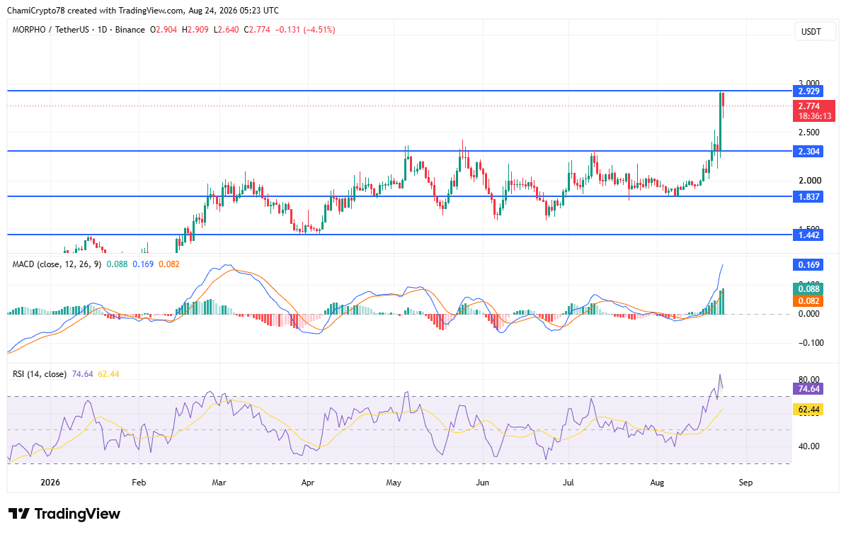 MORPHO price action