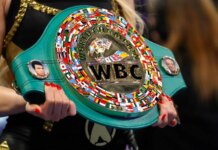 Mikaela Mayer Vs. Chantelle Cameron Full Card, Date, Time and How to Watch Mikaela Mayer Vs. Chantelle Cameron Full Card, Date, Time and How to Watch