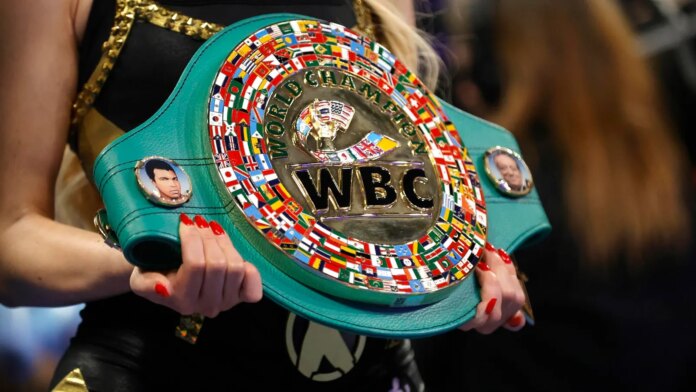 Mikaela-Mayer-Vs-Chantelle-Cameron-Full-Card-Date-Time-and.jpg Mikaela Mayer Vs. Chantelle Cameron Full Card, Date, Time and How to Watch