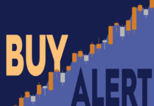 Planet Fitness Director Spinelli Buys 10,000 Shares for $492,800 — Should Investors Buy Too? Planet Fitness Director Spinelli Buys 10,000 Shares for $492,800 -- Should Investors Buy Too?