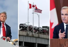 Smart People React to Trump’s New Canadian Trade War Smart People React to Trump's New Canadian Trade War