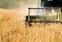 The crude-diesel price spread is wider than ever. BTC might feel it: Crypto Daily The crude-diesel price spread is wider than ever. BTC might feel it: Crypto Daily