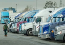 Trucking coalition says 194,000 non-domiciled CDLs affected by carrier reforms Trucking coalition says 194,000 non-domiciled CDLs affected by carrier reforms