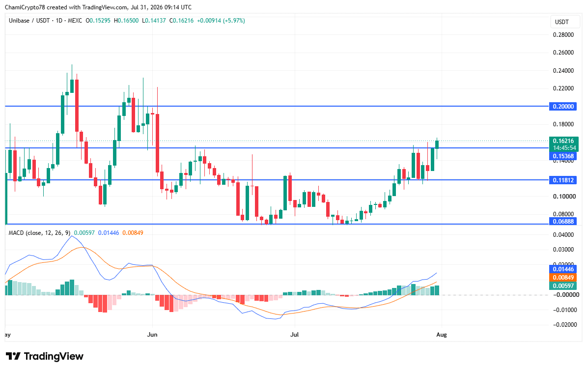 Unibase price action