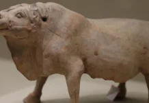 Who Made Ox Alpha? the Mystery AI Is Turning Heads in Silicon Valley. Who Made Ox Alpha? the Mystery AI Is Turning Heads in Silicon Valley.