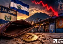 Why is Bitcoin use down 99.8% in El Salvador? HODL, IMF & more… Why is Bitcoin use down 99.8% in El Salvador? HODL, IMF & more…
