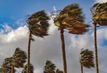 XRP price: Cluster of headwinds gang up on bitcoin and wider crypto market XRP price: Cluster of headwinds gang up on bitcoin and wider crypto market