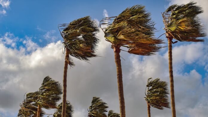 XRP price: Cluster of headwinds gang up on bitcoin and wider crypto market