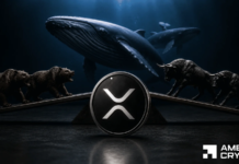XRP whales drive 55% of Binance withdrawals – Is $1 floor safe? XRP whales drive 55% of Binance withdrawals – Is $1 floor safe?