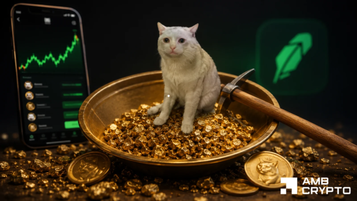 Assessing-Cash-Cats-29-rally-as-liquidations-hit-611K-Whats.png Assessing Cash Cat’s 29% rally as liquidations hit $611K: What’s next?