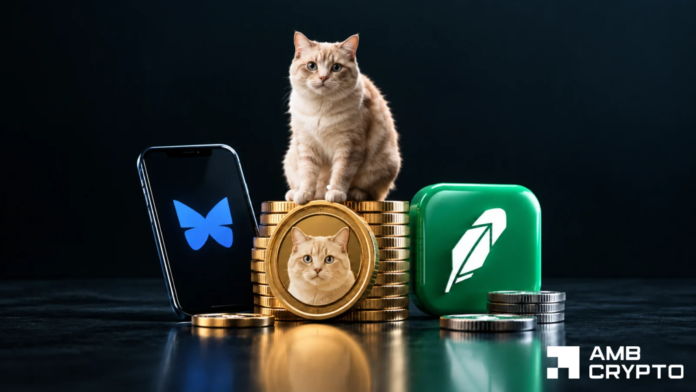 CASHCAT-rallies-32-as-DeFi-utility-grows-Is-the.png CASHCAT rallies 32% as DeFi utility grows - Is the correction over?