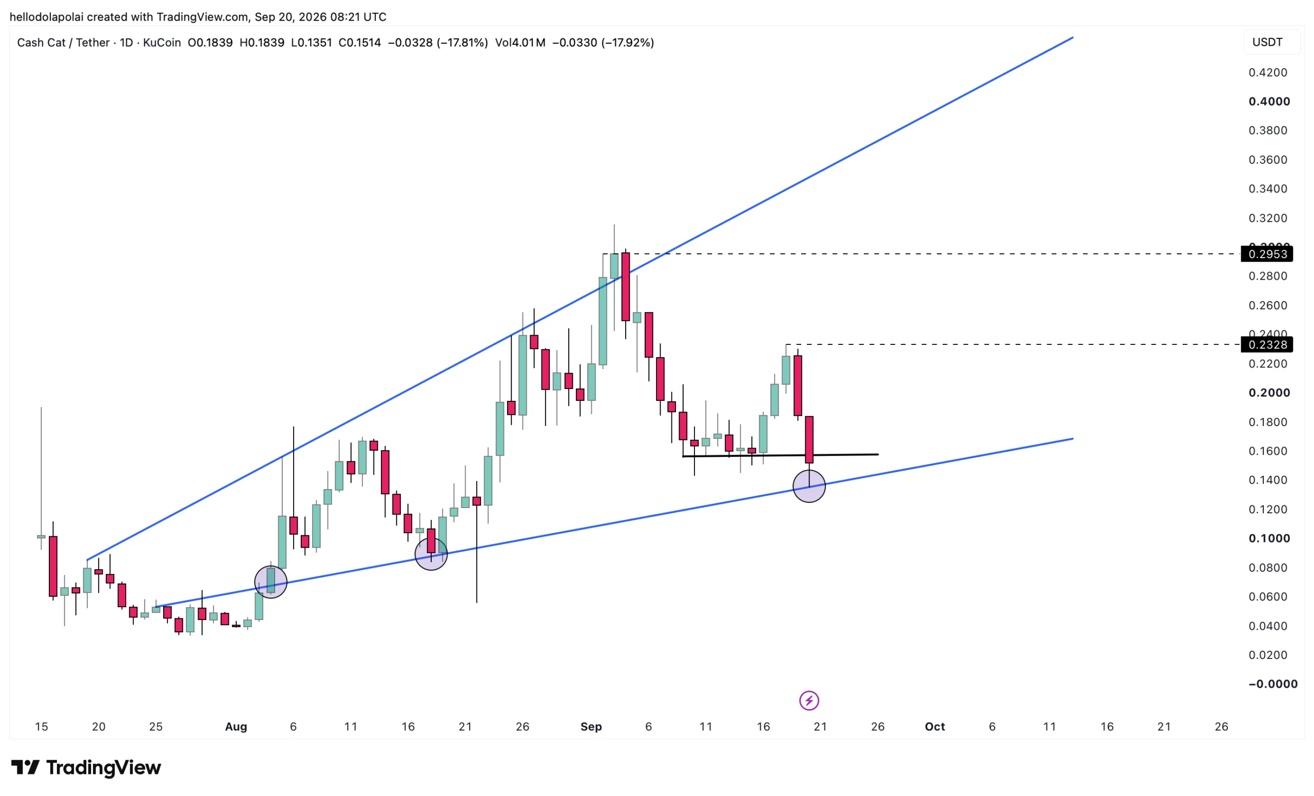 CASHCAT price action