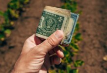Dead money: Your savings account is losing inflation fight — where 4 financial advisors grow their cash instead Dead money: Your savings account is losing inflation fight — where 4 financial advisors grow their cash instead