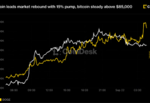 Dogecoin leads market rebound with 15% pump, bitcoin steady above $85,000 Dogecoin leads market rebound with 15% pump, bitcoin steady above $85,000