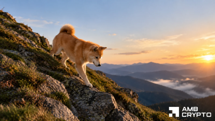 Dogecoin whales accumulate 240M DOGE - Why is price still falling?