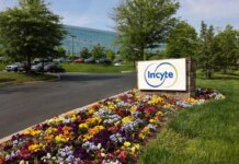 How Is Incyte’s Stock Performance Compared to Other Biotech Stocks? How Is Incyte’s Stock Performance Compared to Other Biotech Stocks?
