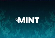 Mint launches its Web3 gaming platform with focus on player progression Mint launches its Web3 gaming platform with focus on player progression