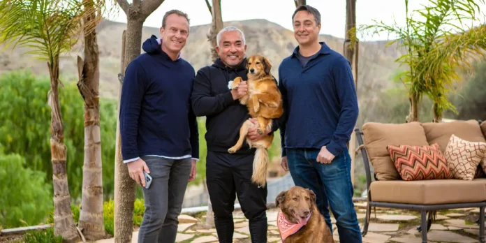 My Niece's Dog Was Hit by a Car. It Inspired a $99.7M Business.