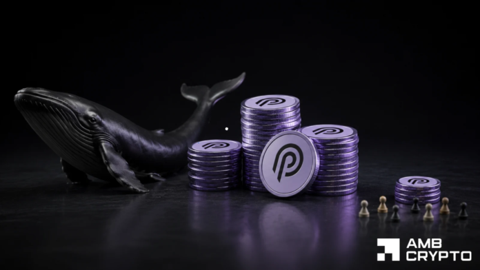 Pyth-Network-Will-PYTHs-12-gains-mark-the-start-of.png Pyth Network: Will PYTH's 12% gains mark the start of a bigger rally?