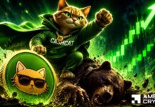 Will Cash Cat break THIS key resistance? Watch out for 2 major signs! Will Cash Cat break THIS key resistance? Watch out for 2 major signs!