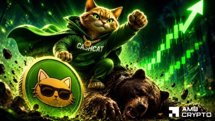 Will Cash Cat break THIS key resistance? Watch out for 2 major signs!