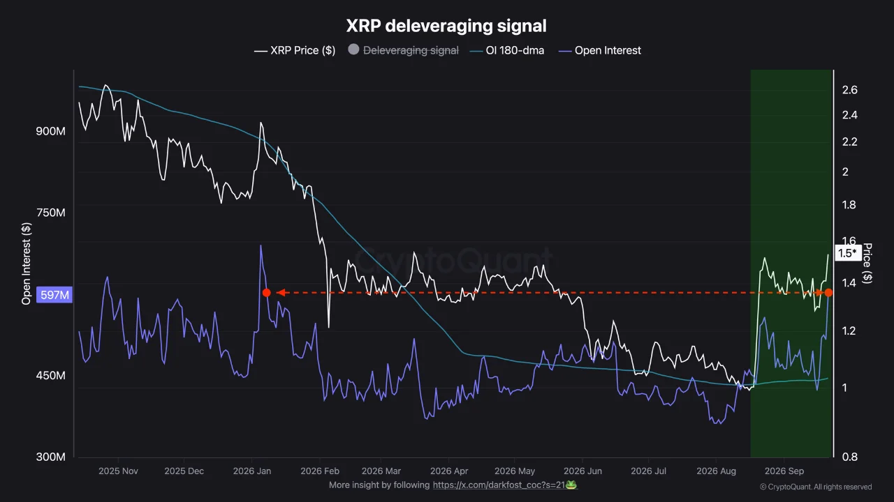 XRP Open Interest