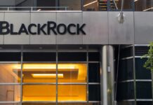 Bitcoin ETFs just saw their biggest day in a month thanks entirely to BlackRock Bitcoin ETFs just saw their biggest day in a month thanks entirely to BlackRock