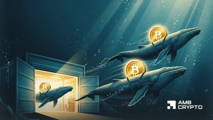 Bitcoin-at-862K-BTC-whales-are-profitable-but-will-they.webp Bitcoin at $86.2K: BTC whales are profitable, but will they cash out?