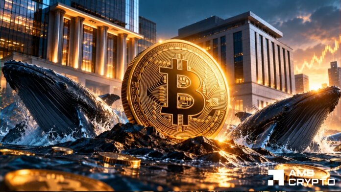 Bitcoin sees $771M in whale withdrawals - Why BTC could reclaim $84K