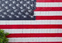 Bitcoin’s midterm bottom pattern faces a test as QQQ shows mixed returns Bitcoin’s midterm bottom pattern faces a test as QQQ shows mixed returns