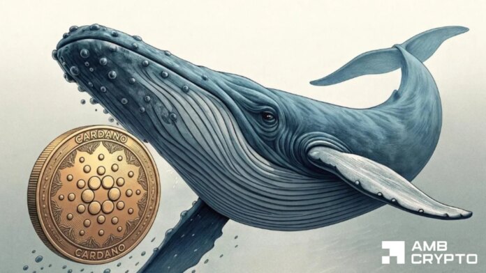 Cardano's 42% rally has real backing behind it - Now ADA is coming for DOGE