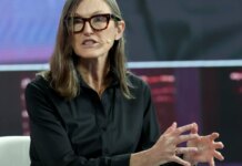 Cathie Wood says smart investors need to start watching where AI agents spend money Cathie Wood says smart investors need to start watching where AI agents spend money