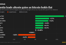 Celestia and injective lead altcoin gains as bitcoin (BTC) price holds near $82,000 Celestia and injective lead altcoin gains as bitcoin (BTC) price holds near $82,000