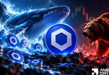 Chainlink’s $1.02M whale buy: An early Q4 signal or an isolated bet? Chainlink’s $1.02M whale buy: An early Q4 signal or an isolated bet?