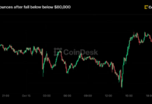 Live updates: Bitcoin bounces back to $82,000 after first fall below $80,000 in one month Live updates: Bitcoin bounces back to $82,000 after first fall below $80,000 in one month
