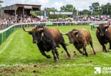 OriginTrail’s holder count surges to 27,060 ATH – Here’s what it means for TRAC OriginTrail's holder count surges to 27,060 ATH - Here's what it means for TRAC