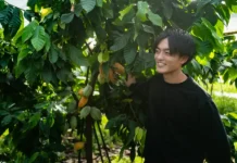 The Young Entrepreneurs Giving Japan’s Old Businesses a Second Life The Young Entrepreneurs Giving Japan's Old Businesses a Second Life