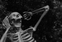 Top 6 memecoins to check out in October 2026 Top 6 memecoins to check out in October 2026
