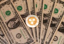 XRP-linked Ripple is earning fees financing leveraged stock bets, a business long run by banks XRP-linked Ripple is earning fees financing leveraged stock bets, a business long run by banks